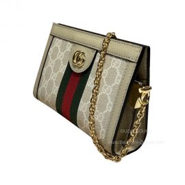 Gucci Ophidia Mini Chain Shoulder Bag in White and Ebony GG Supreme Canvas 602676