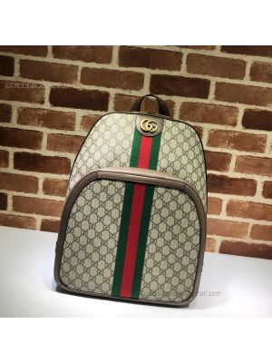 gucci ophidia backpack review