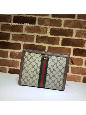 Gucci Ophidia pouch 625549 213261